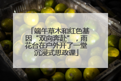端午草木和红色基因“双向奔赴”，雨花台在户外开了一堂沉浸式思政课