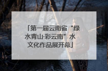 第一届云南省“绿水青山·彩云南”水文化作品展开幕