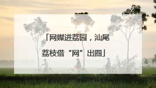网媒进荔园，汕尾荔枝借“网”出圈