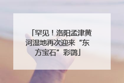 罕见！洛阳孟津黄河湿地再次迎来“东方宝石”彩鹮