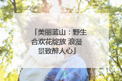 美丽蓝山：野生合欢花绽放 浪漫景致醉人心