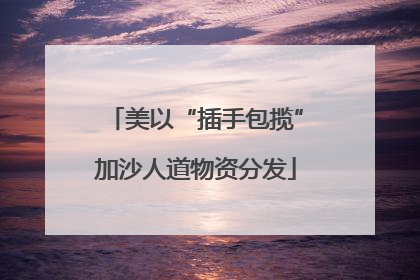 美以“插手包揽”加沙人道物资分发