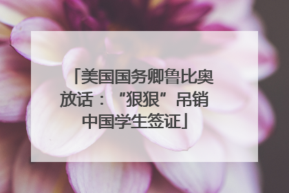 美国国务卿鲁比奥放话：“狠狠”吊销中国学生签证