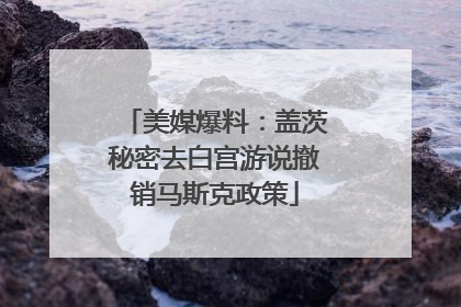 美媒爆料：盖茨秘密去白宫游说撤销马斯克政策