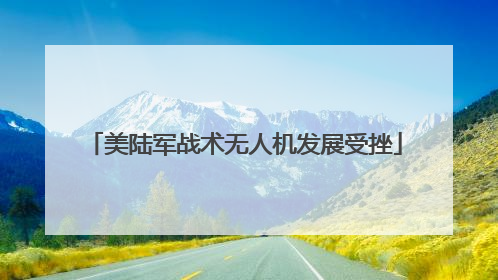 美陆军战术无人机发展受挫