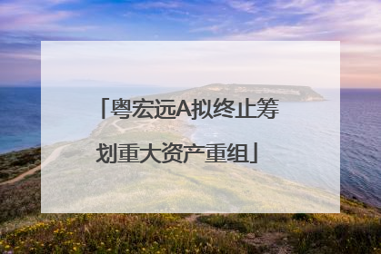 粤宏远A拟终止筹划重大资产重组
