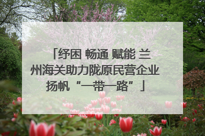 纾困 畅通 赋能 兰州海关助力陇原民营企业扬帆“一带一路”
