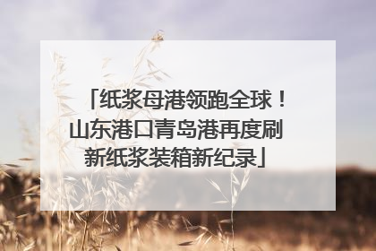 纸浆母港领跑全球！山东港口青岛港再度刷新纸浆装箱新纪录