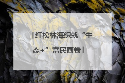 红松林海织就“生态+”富民画卷