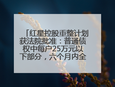 红星控股重整计划获法院批准：普通债权中每户25万元以下部分，六个月内全额现金清偿