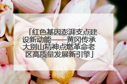 红色基因澎湃支点建设新动能——黄冈传承大别山精神点燃革命老区高质量发展新引擎