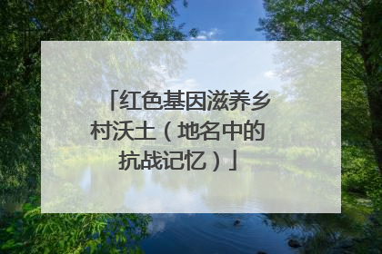 红色基因滋养乡村沃土（地名中的抗战记忆）