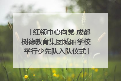 红领巾心向党 成都树德教育集团城厢学校举行少先队入队仪式