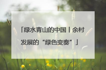 绿水青山的中国丨余村发展的“绿色变奏”