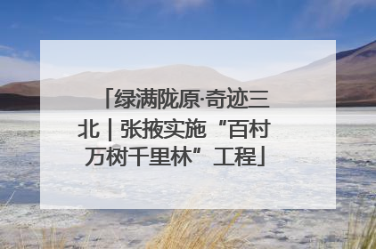 绿满陇原·奇迹三北｜张掖实施“百村万树千里林”工程
