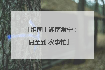 组图丨湖南常宁：夏至到 农事忙