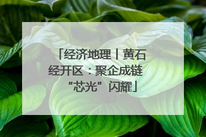 经济地理丨黄石经开区：聚企成链“芯光”闪耀