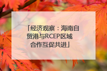 经济观察：海南自贸港与RCEP区域合作互促共进