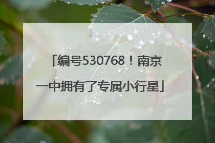 编号530768！南京一中拥有了专属小行星