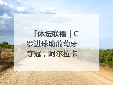 体坛联播｜C罗进球助葡萄牙夺冠，阿尔拉卡斯卫冕法网