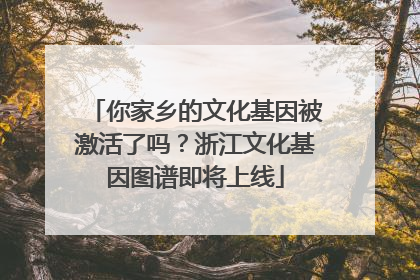 你家乡的文化基因被激活了吗？浙江文化基因图谱即将上线