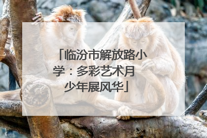 临汾市解放路小学：多彩艺术月 少年展风华