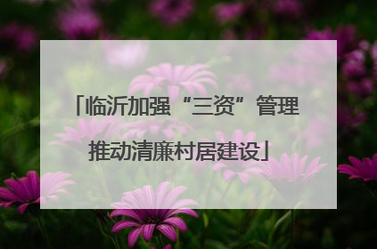 临沂加强“三资”管理 推动清廉村居建设