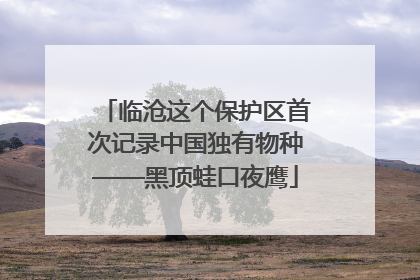临沧这个保护区首次记录中国独有物种——黑顶蛙口夜鹰