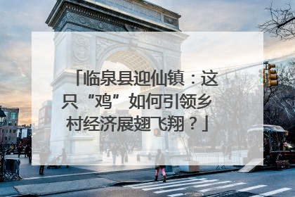 临泉县迎仙镇：这只“鸡”如何引领乡村经济展翅飞翔？