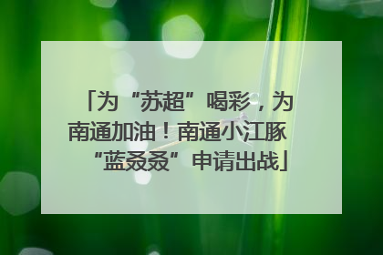 为“苏超”喝彩，为南通加油！南通小江豚“蓝叒叒”申请出战