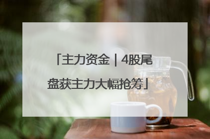 主力资金｜4股尾盘获主力大幅抢筹