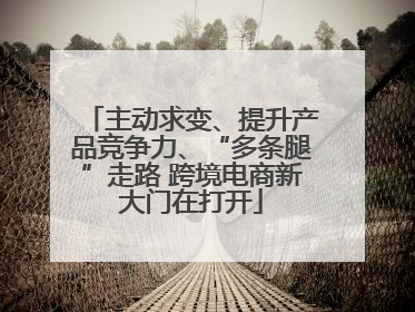 主动求变、提升产品竞争力、“多条腿”走路 跨境电商新大门在打开