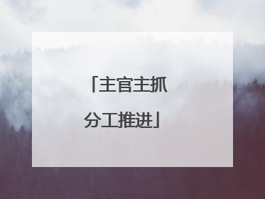 主官主抓 分工推进