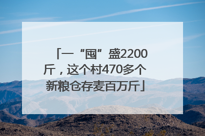 一“囤”盛2200斤，这个村470多个新粮仓存麦百万斤