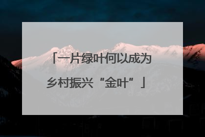 一片绿叶何以成为乡村振兴“金叶”