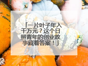 一片叶子年入千万元？这个日照青年的创业故事藏着答案！