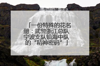 一份特殊的花名册：武警浙江总队宁波支队镇海中队的“精神密码”