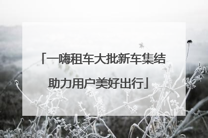 一嗨租车大批新车集结 助力用户美好出行