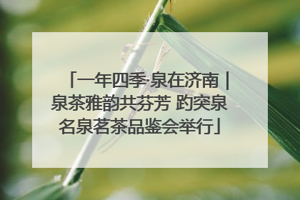 一年四季·泉在济南｜泉茶雅韵共芬芳 趵突泉名泉茗茶品鉴会举行