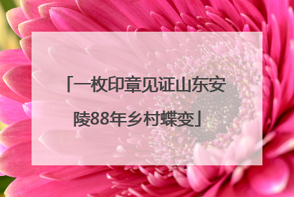 一枚印章见证山东安陵88年乡村蝶变