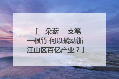 一朵菇 一支笔 一根竹 何以撬动浙江山区百亿产业？