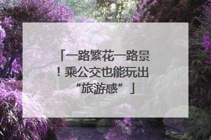 一路繁花一路景！乘公交也能玩出“旅游感”