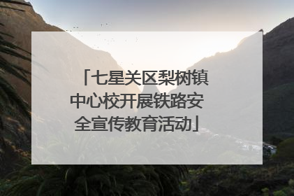 七星关区梨树镇中心校开展铁路安全宣传教育活动