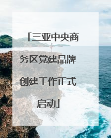 三亚中央商务区党建品牌创建工作正式启动