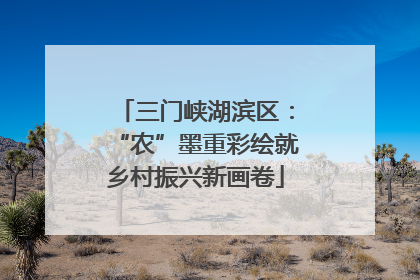 三门峡湖滨区：“农”墨重彩绘就乡村振兴新画卷