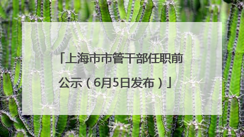 上海市市管干部任职前公示（6月5日发布）