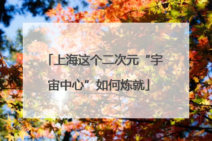 上海这个二次元“宇宙中心”如何炼就