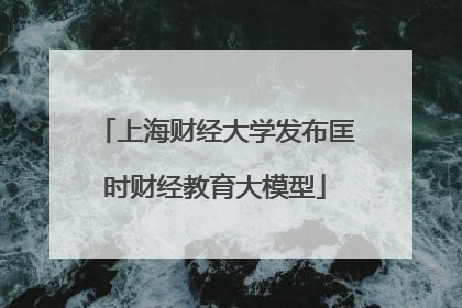 上海财经大学发布匡时财经教育大模型