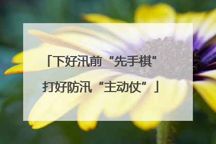 下好汛前“先手棋” 打好防汛“主动仗”