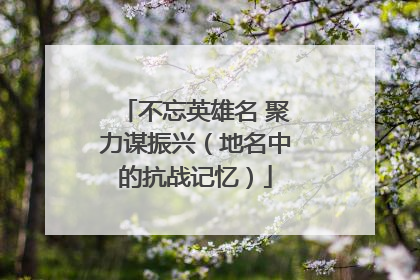 不忘英雄名 聚力谋振兴（地名中的抗战记忆）